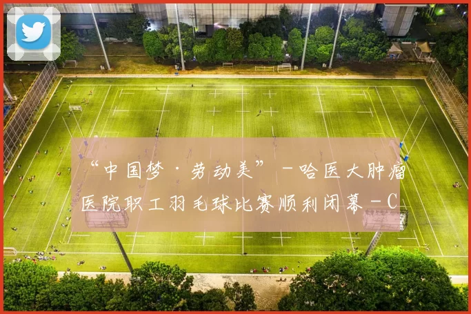 “中国梦·劳动美” - 哈医大肿瘤医院职工羽毛球比赛顺利闭幕 - Copy (9)