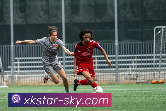 App Interface Preview